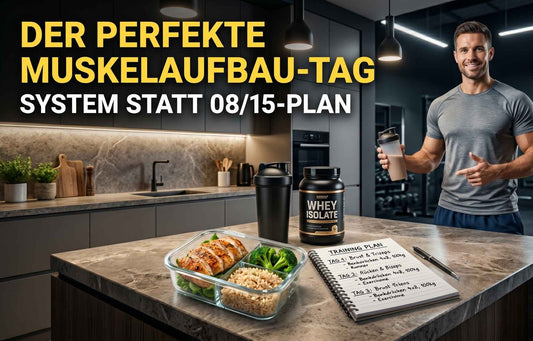 Der perfekte Muskelaufbau-Tag: System statt 08/15-Plan