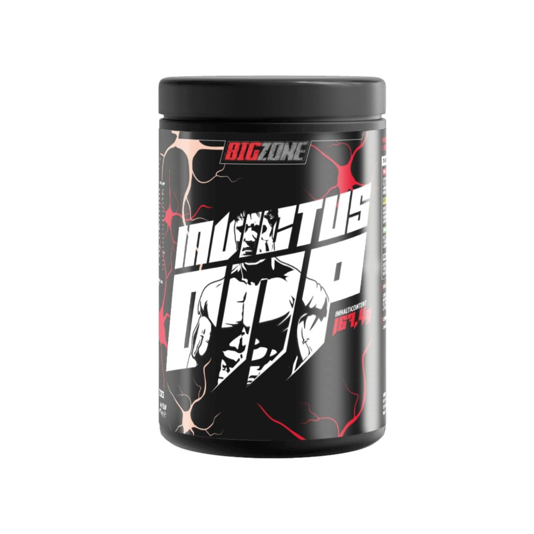 Big Zone Invictus DNP 30 Portionen