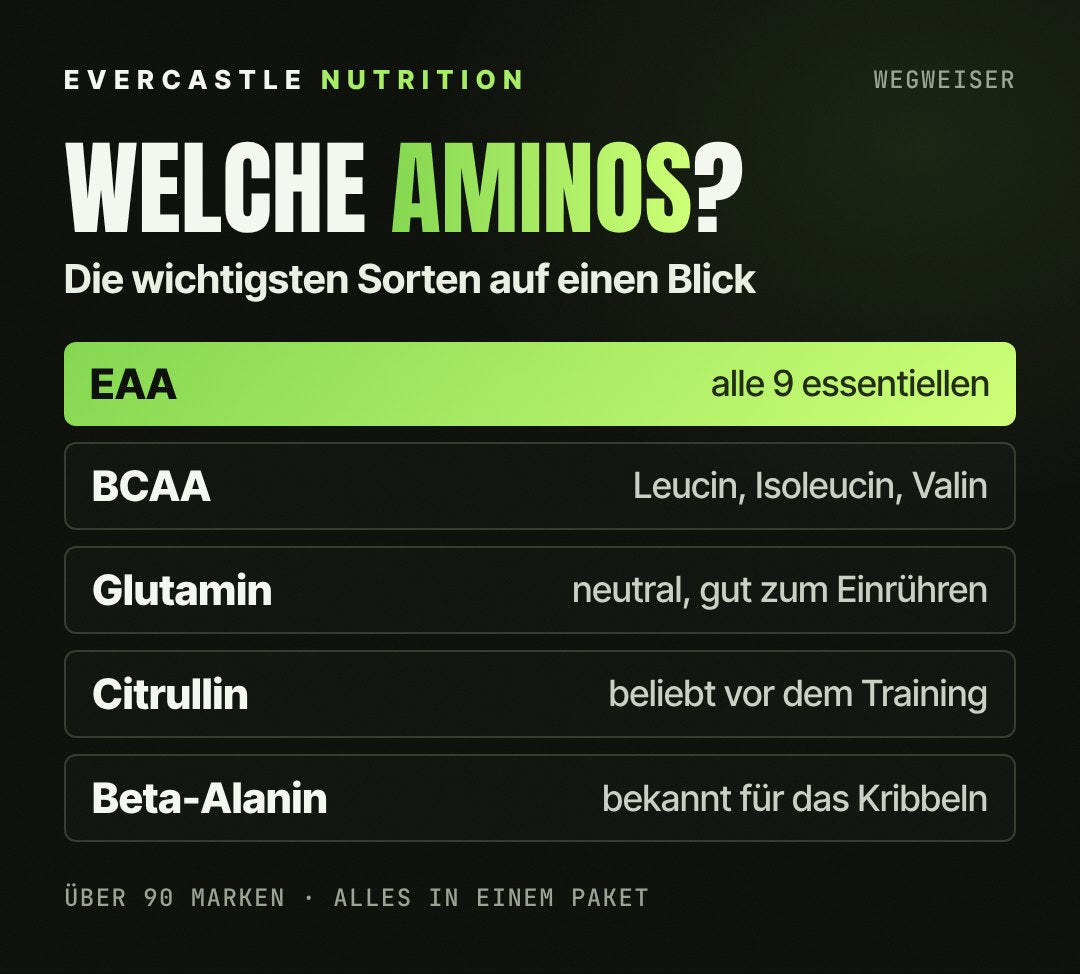 Aminosäuren im Überblick: EAA mit allen neun essentiellen Aminosäuren hervorgehoben, dazu BCAA, Glutamin, Citrullin und Beta-Alanin mit kurzer Erklärung
