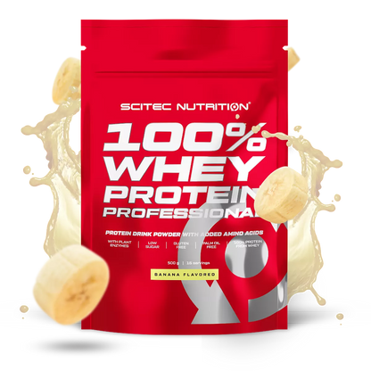 Scitec 100% Whey Professional 500g – Evercastle Nutrition