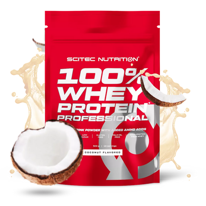 Scitec 100% Whey Professional 500g – Evercastle Nutrition