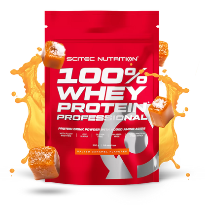 Scitec 100% Whey Professional 500g – Evercastle Nutrition
