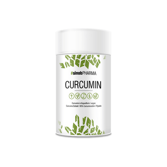 Sinob Curcumin 95% 60 Kapseln – Evercastle Nutrition
